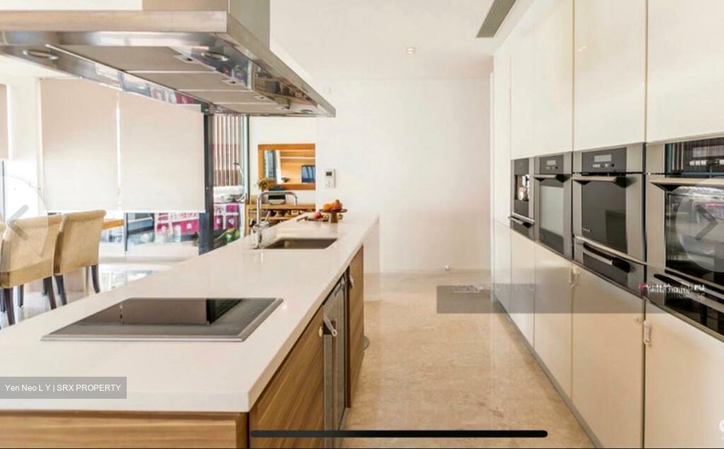Parvis (D10), Condominium #566133391